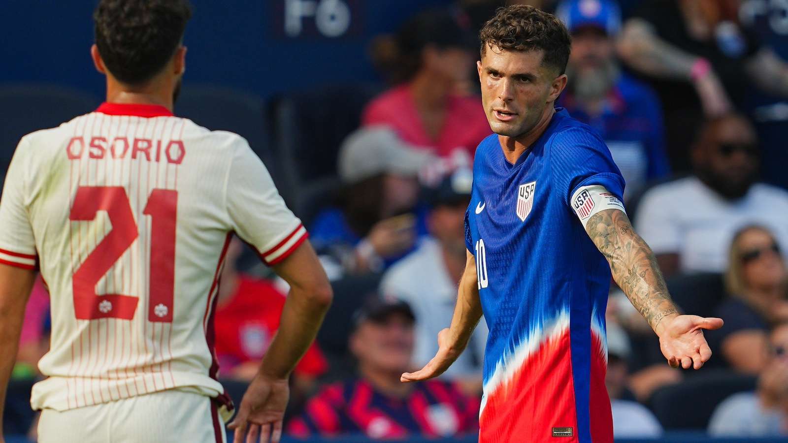 期待他们在 期待他们在